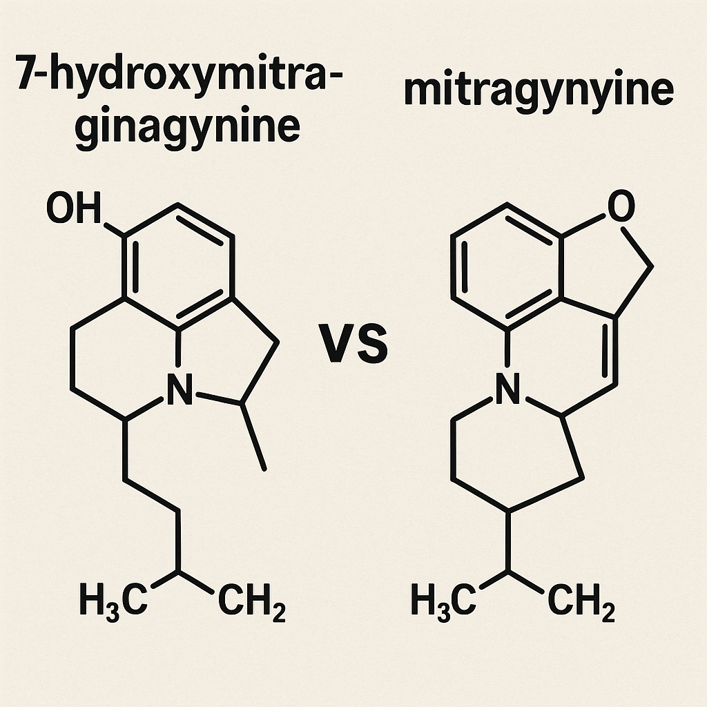 Why Should You Know the Difference Between 7-Hydroxymitragynine and Mitragynine?